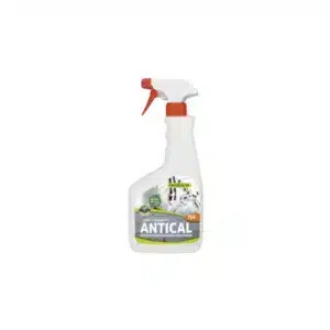ANTICAL MONESTIR 1L